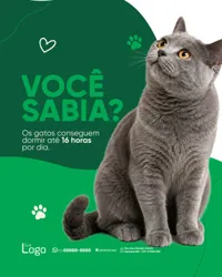 Social Media Pet Shop PSD Editável
