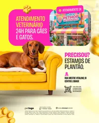 Pet Shop Social Media PSD Editável