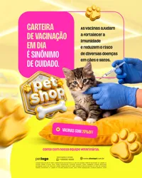 Pet Shop Social Media PSD Editável